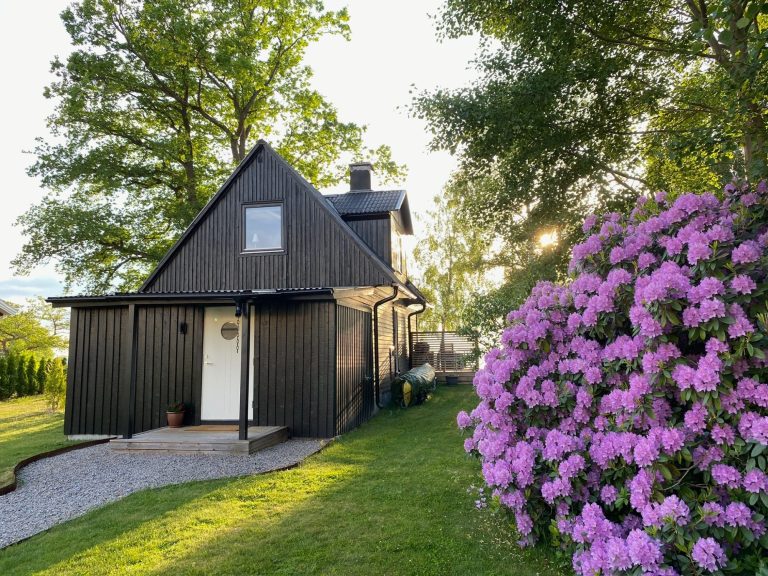 Schwarzes schwedisches Holzhaus umgeben von grünem Rasen und blühenden Rhododendren.